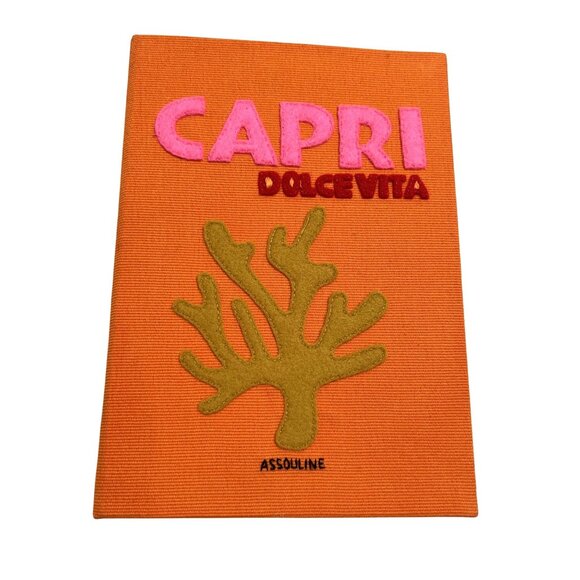 Assouline Capri Book Clutch Purse - Picture 3 of 7